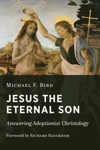 bokomslag Jesus the Eternal Son