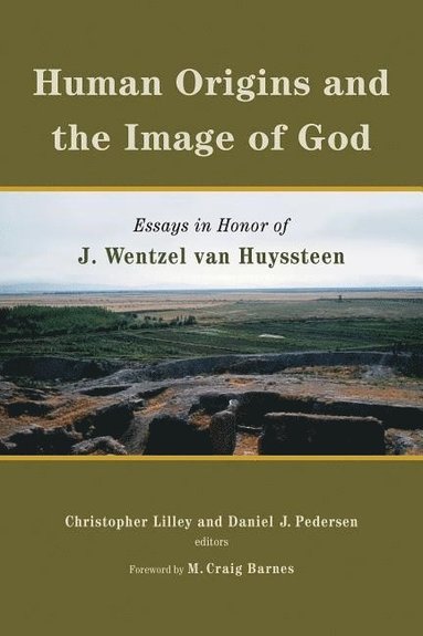 bokomslag Human Origins and the Image of God