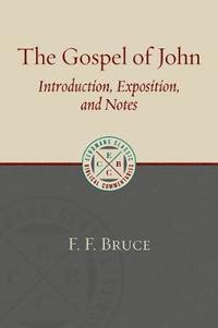 bokomslag Gospel of John