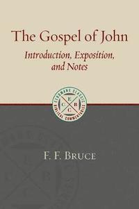 bokomslag Gospel of John