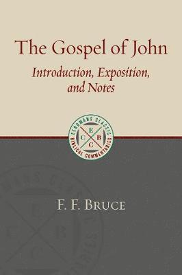 bokomslag Gospel of John