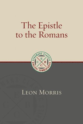 bokomslag Epistle to the Romans