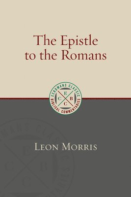 bokomslag Epistle to the Romans