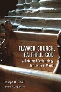 bokomslag Flawed Church, Faithful God