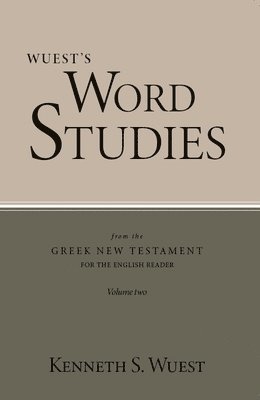 bokomslag Word Studies in the Greek New Testament, volume 2