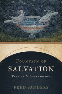 bokomslag Fountain of Salvation