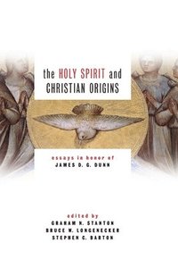 bokomslag Holy Spirit and Christian Origins