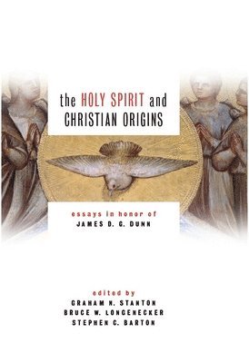 Graham N Stanton, Graham N Stanton, Bruce W Longenecker, Stephen C Barton - Holy Spirit and Christian Origins, Häftad