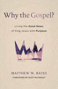 bokomslag Why the Gospel?