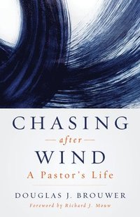 bokomslag Chasing After Wind
