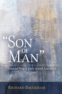 bokomslag Son of Man