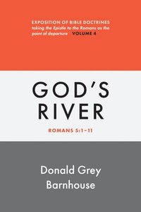 bokomslag Romans, Vol 4: God's River