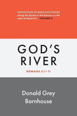 bokomslag Romans, Vol 4: God's River