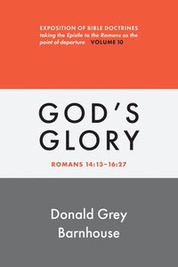 bokomslag Romans, Vol 10: God's Glory