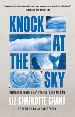 bokomslag Knock at the Sky: Seeking God in Genesis After Losing Faith in the Bible