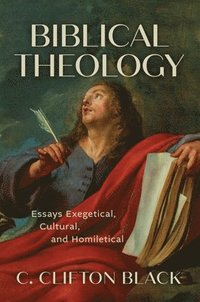 bokomslag Biblical Theology