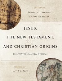 bokomslag Jesus, the New Testament, and Christian Origins