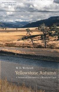 bokomslag Yellowstone Autumn