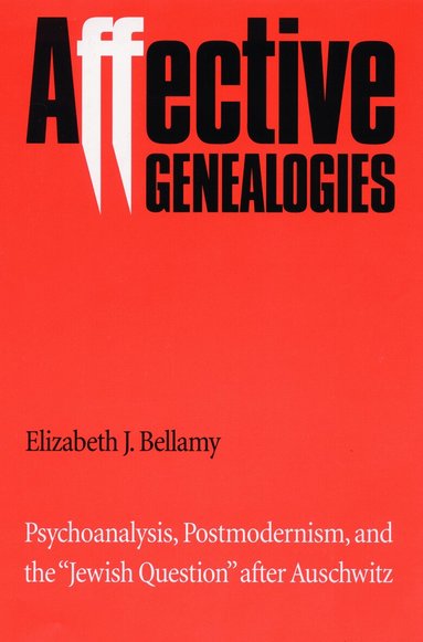 Elizabeth J. Bellamy - Affective Genealogies, Inbunden