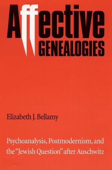 bokomslag Affective Genealogies