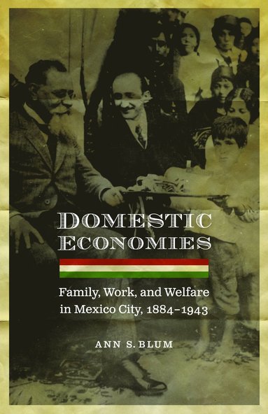 bokomslag Domestic Economies