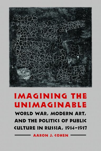 Aaron J. Cohen - Imagining the Unimaginable, Inbunden