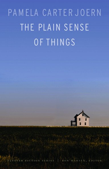 Pamela Carter Joern - Plain Sense of Things, Häftad