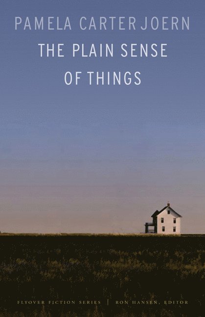 Pamela Carter Joern - Plain Sense of Things, Häftad