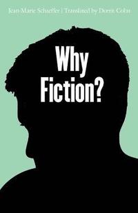 bokomslag Why Fiction?