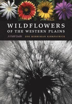 Wildflowers of the Western Plains 1