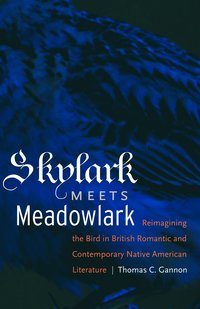 bokomslag Skylark Meets Meadowlark