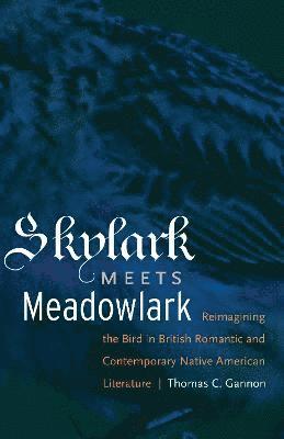 Skylark Meets Meadowlark