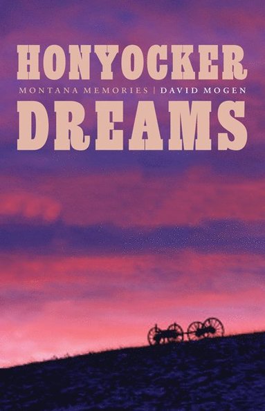 bokomslag Honyocker Dreams