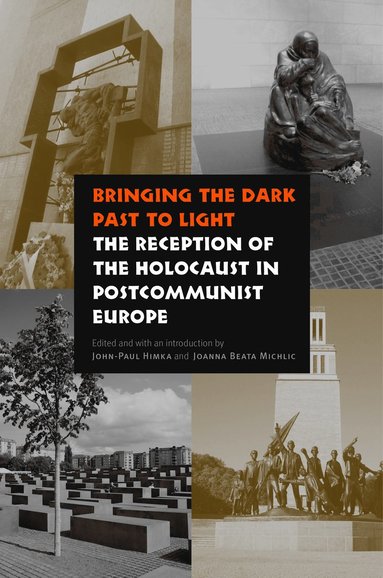 bokomslag Bringing the Dark Past to Light