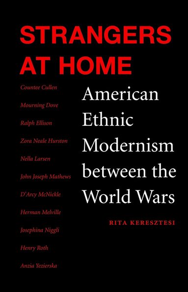 Rita Keresztesi - Strangers at Home, Häftad