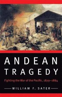 bokomslag Andean Tragedy