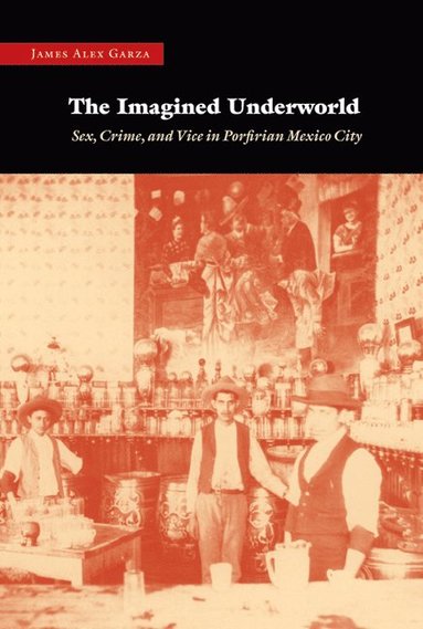 bokomslag Imagined Underworld