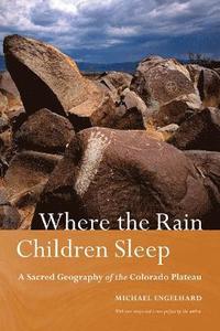 bokomslag Where the Rain Children Sleep