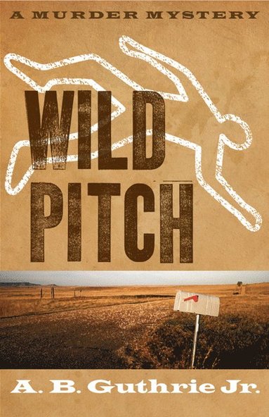 bokomslag Wild Pitch