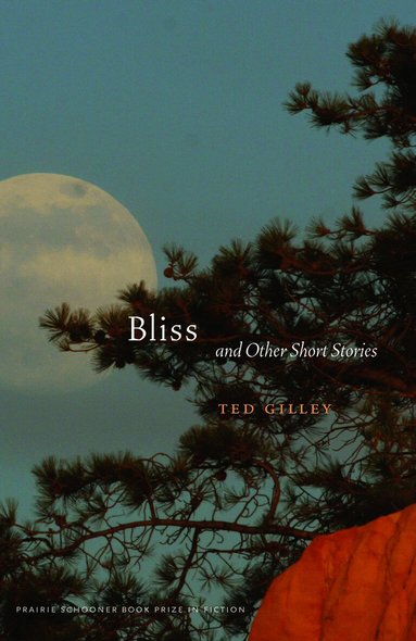 Ted Gilley - Bliss and Other Short Stories, Häftad