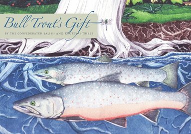 bokomslag Bull Trout's Gift