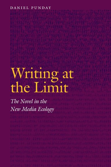 Daniel Punday - Writing at the Limit, Inbunden