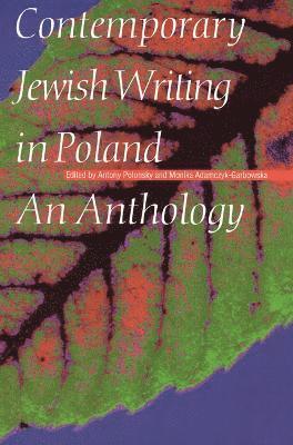 bokomslag Contemporary Jewish Writing in Poland