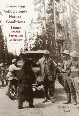 James A. Pritchard - Preserving Yellowstone's Natural Conditions, Inbunden