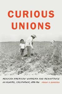bokomslag Curious Unions