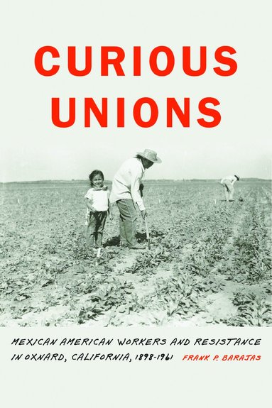 bokomslag Curious Unions