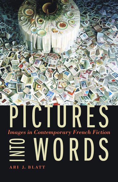 bokomslag Pictures Into Words