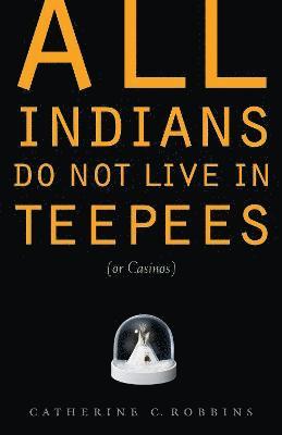 bokomslag All Indians Do Not Live in Teepees (or Casinos)