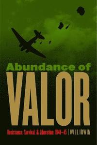 bokomslag Abundance of Valor