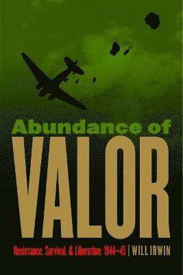 Abundance of Valor 1